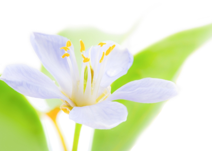 1680080235152299.jpeg 副本_未命名__2023-03-29+16_56_54.jpeg