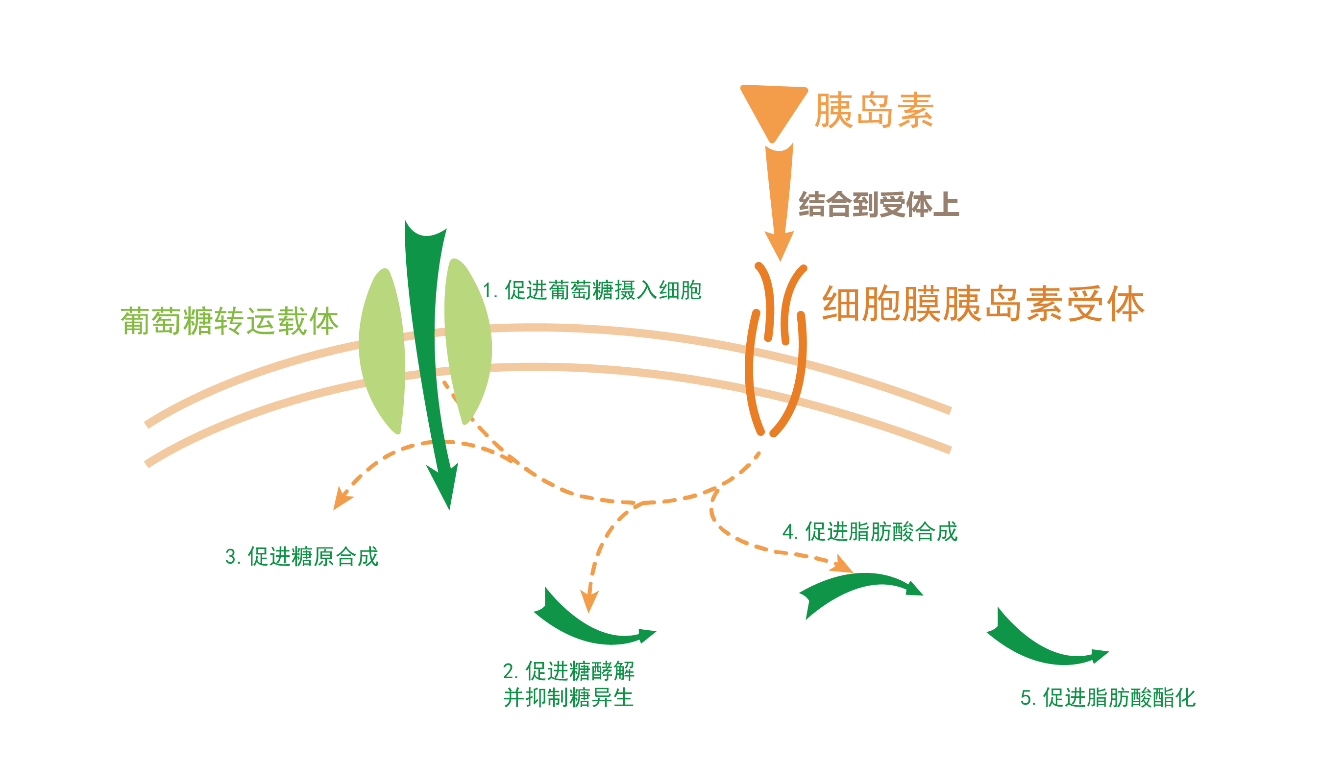 1681281620145222.png 3-01.png