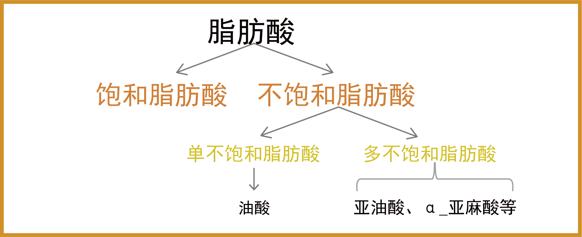 1684982938762482.png 脂肪酸.png