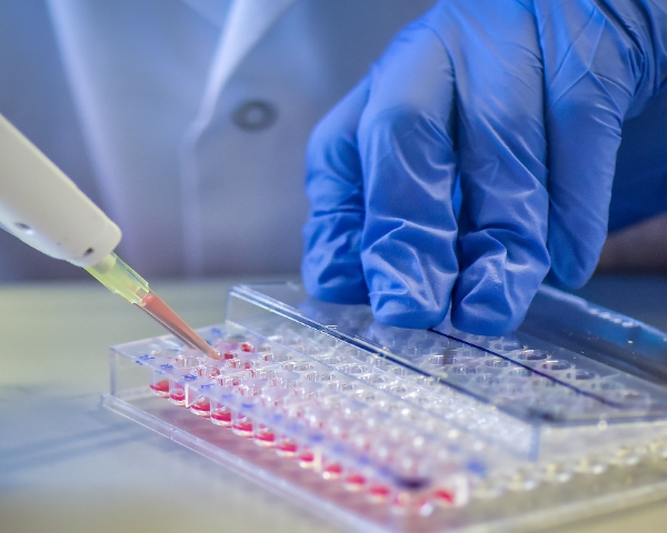 1685065141767149.jpeg 600-400.jpeg