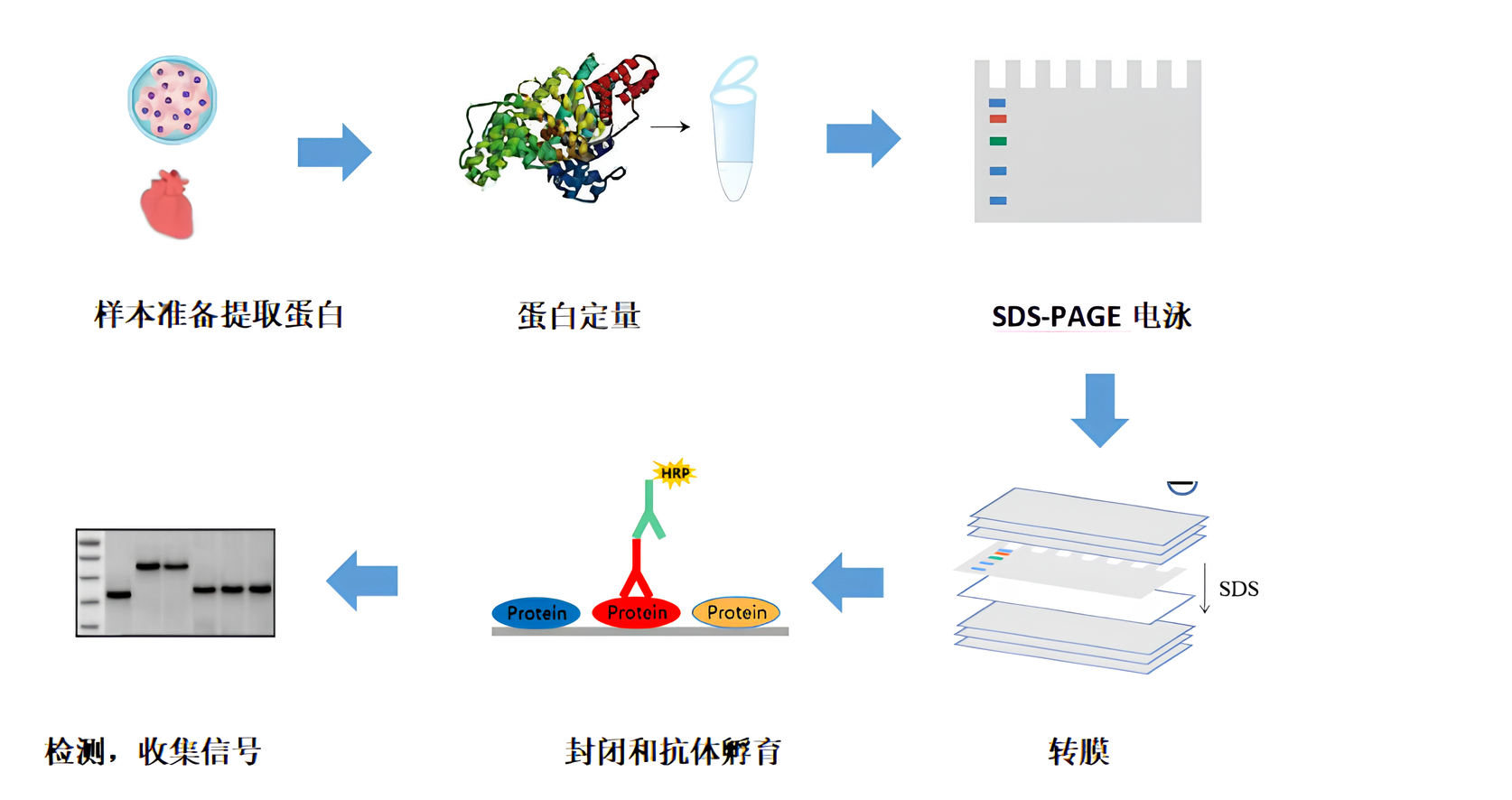 1691721334766115.png QQ图片20230811103143.png