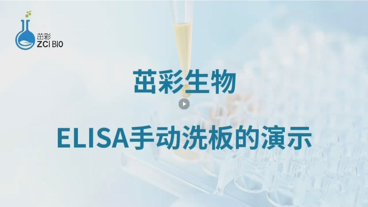 https://elisa.oss-cn-shanghai.aliyuncs.com/81206322478868b4f4225d6a4cead2de.mp4